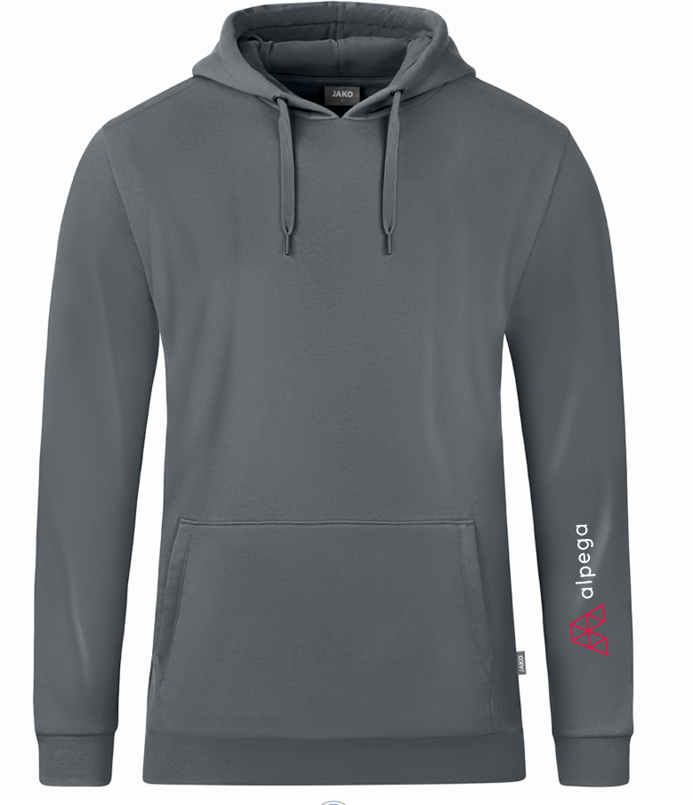Hooded Sweat Organic (grey)